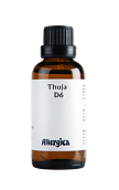 Thuja D6